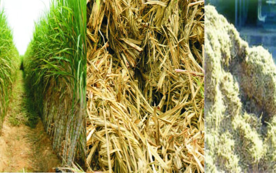 تولید کاغذ