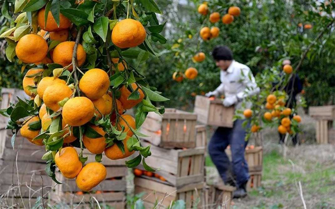 صنعت بسته بندی