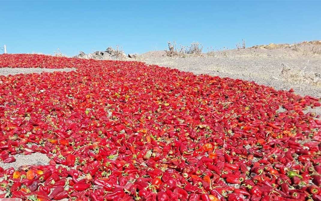 شهرستان میامی