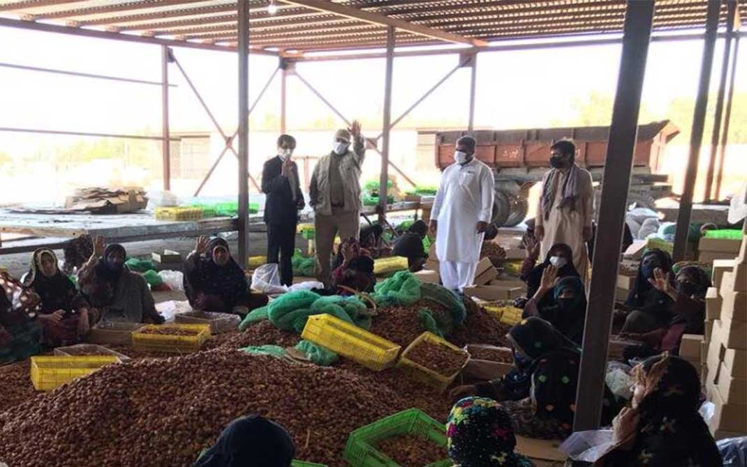 اشتغالزایی بانوان