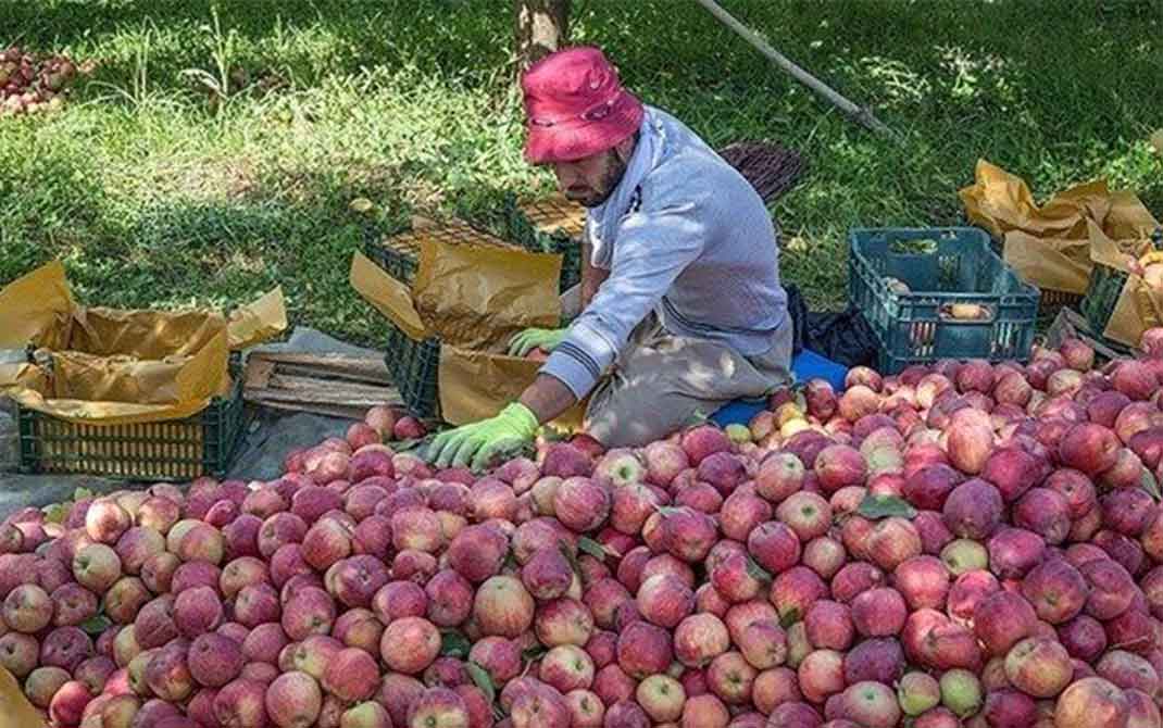 آسیب شناسی صادرات