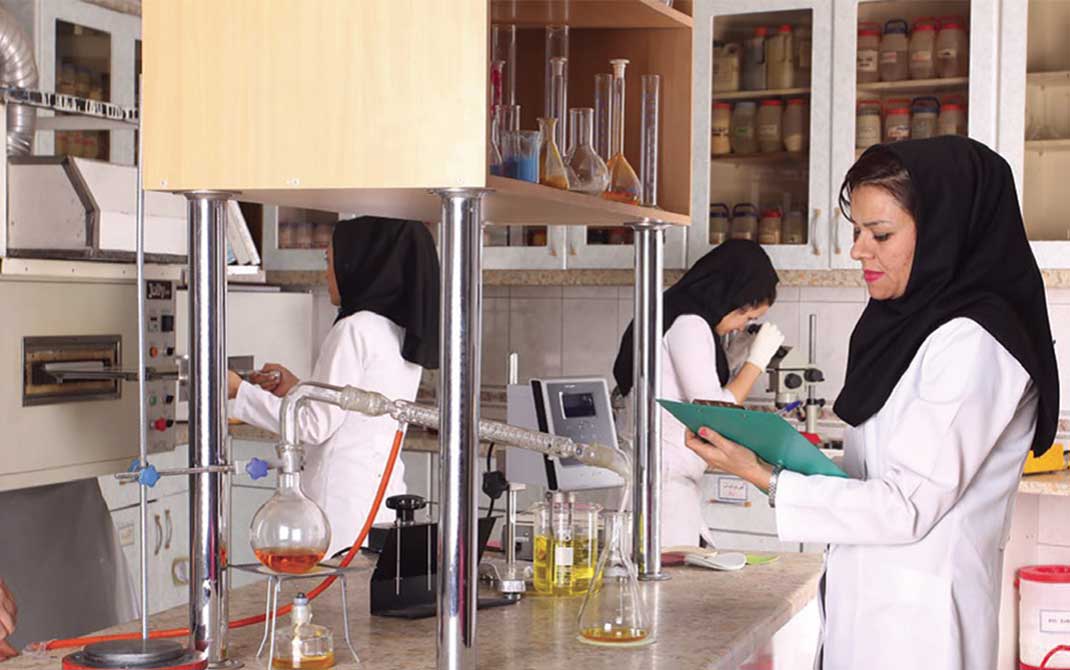 کارا تدبیر هنر