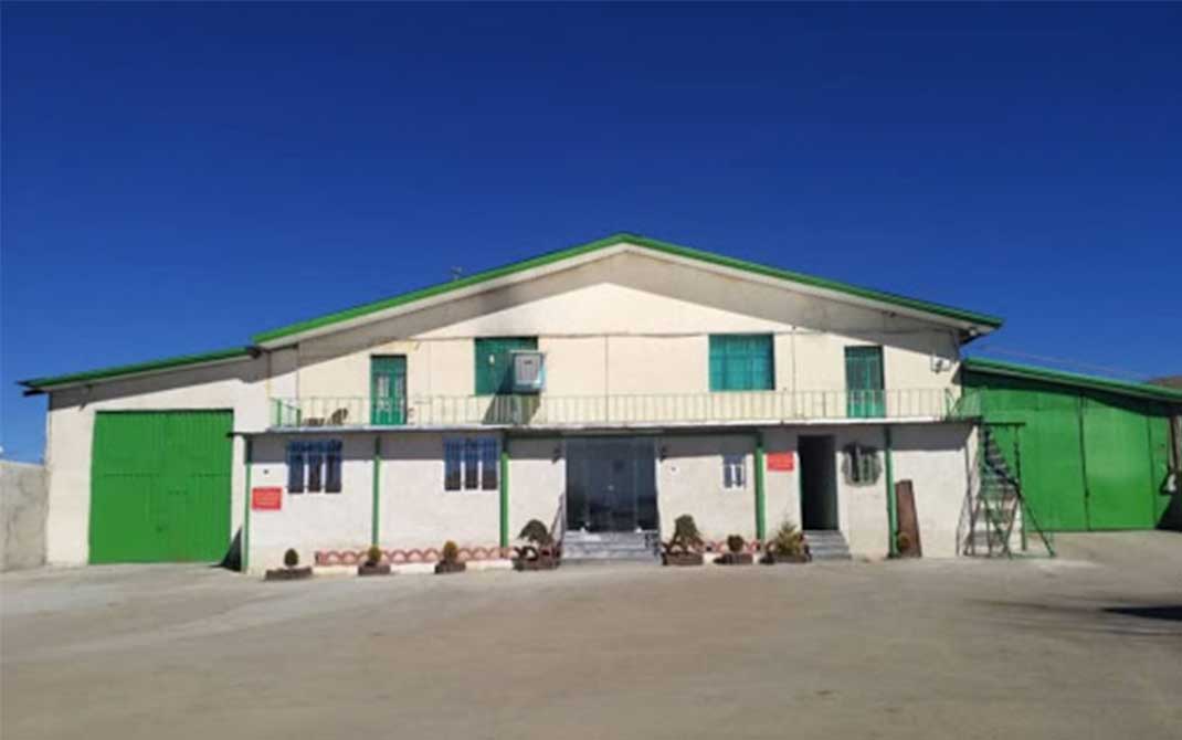 کارخانه تولید کارتن