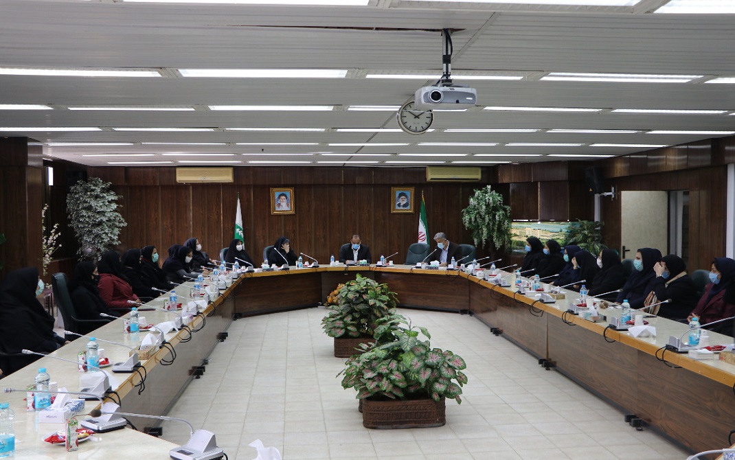 صنایع چوب و کاغذ مازندران