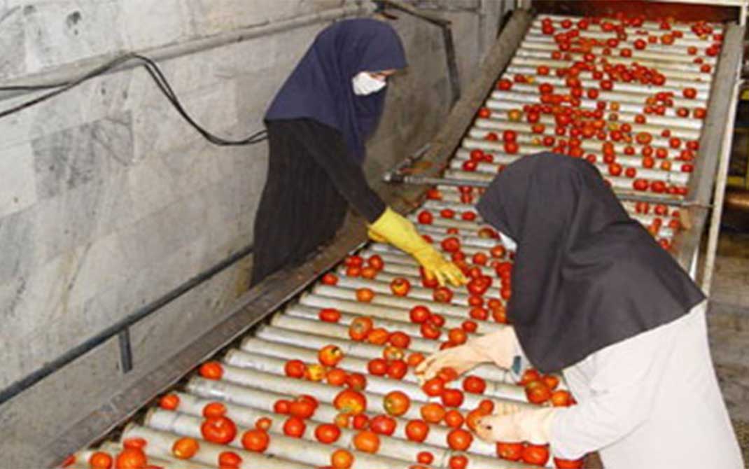 صنایع تبدیلی