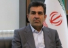 صنایع سلولزی