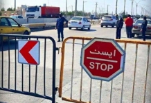 خودروهای غیر بومی