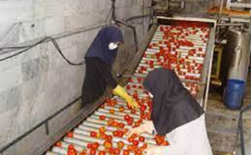 صنایع تبدیلی