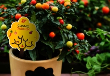 کاغذ مصنوعی