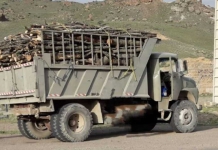 تولید کاغذ از کود حیوانی