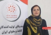 تولیدکنندگان کاغذ