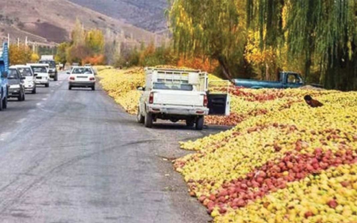 صنعت سورت، بسته‌بندی و فرآوری