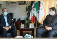 مدیرعامل صنایع چوب و کاغذ