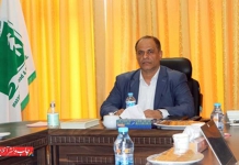 واردات و تامین چوب