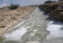 کارخانه خمیر کاغذ اترک