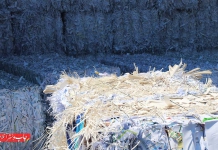 تولید کتاب های درسی