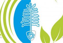 نمایشگاه چوب و کاغذ فرانکفورت