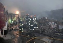 سوله کارتن سازی