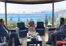 بسترهای جدید در صنایع چوب و کاغذ مازندران