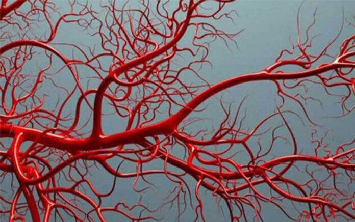 چاپ سهبُعدی چاپ سهبُعدی