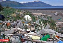 آلودگی پلاستیکی