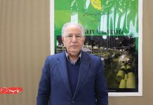 کارتن‌سازی میهن