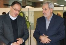 چوب و کاغذ مازندران