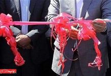 کارخانه کارتن و جعبه سازی افتتاح شد