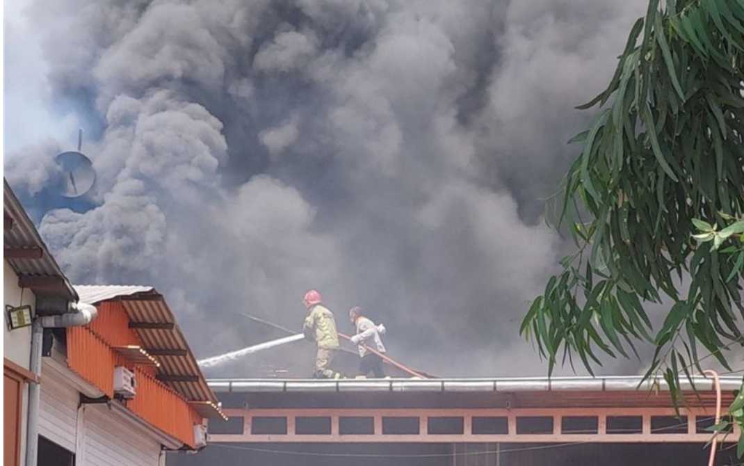 آتش سوزی گسترده در انبار کاغذ باطله