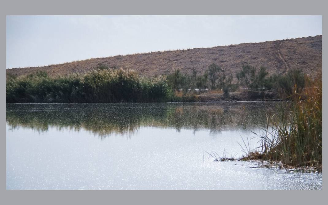 کارخانه خمیر و کاغذ اترک