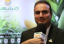 نشاسته ذرت و توسعه صنعت کاغذسازی نشاسته ذرت