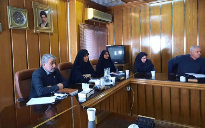 برنامه های راهبردی صنعت سلولزی