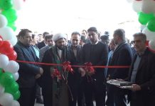 تولید کارتن و مقوا
