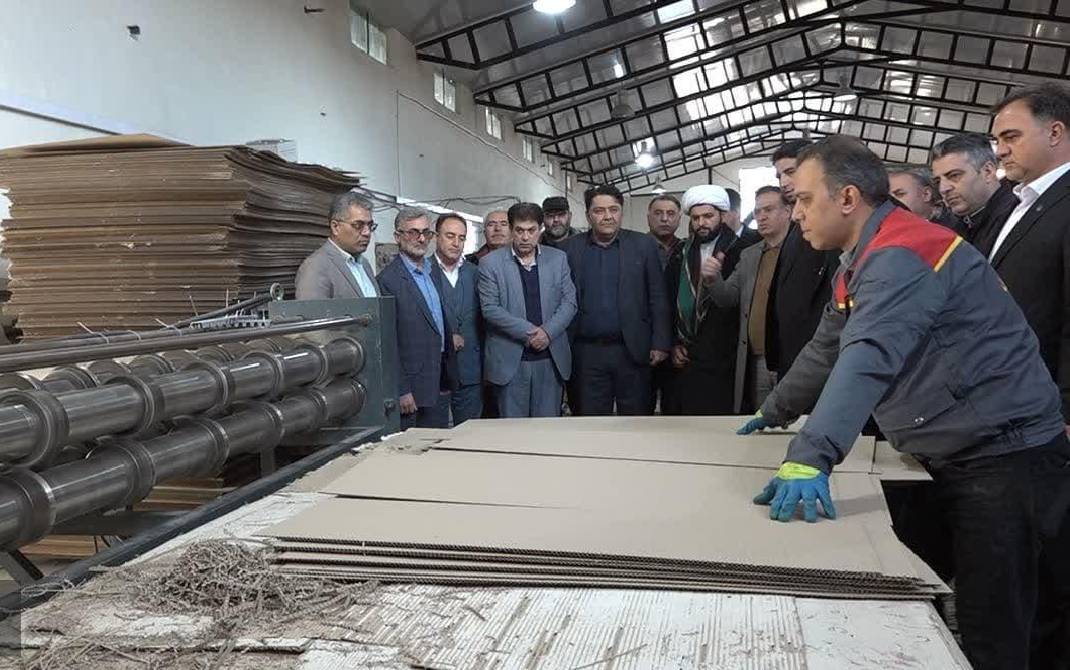 تولید کارتن و مقوا