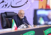 درخت اکالیپتوس