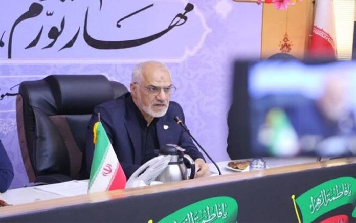 درخت اکالیپتوس