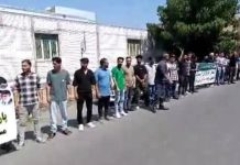 شرکت کاغذ پارس طبیعت سلولز
