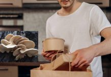 تولید کاغذ از قارچ