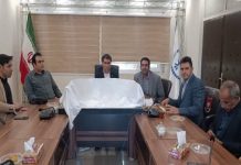 نویسندگان دانشگاهی