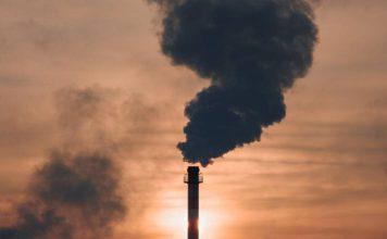 کارخانه تولید کاغذ و مقوا