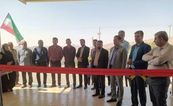 بسته‌بندی خرما