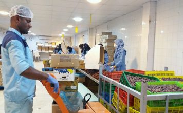 فرآوری خرما