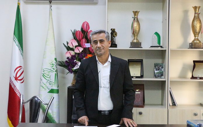 نیکدل بازار کاغذ